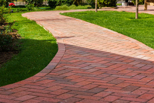 Best Driveway Paving Contractor  in Arbury Hls, IL