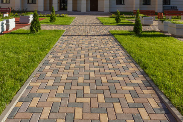 Best Local Driveway Pavers  in Arbury Hls, IL